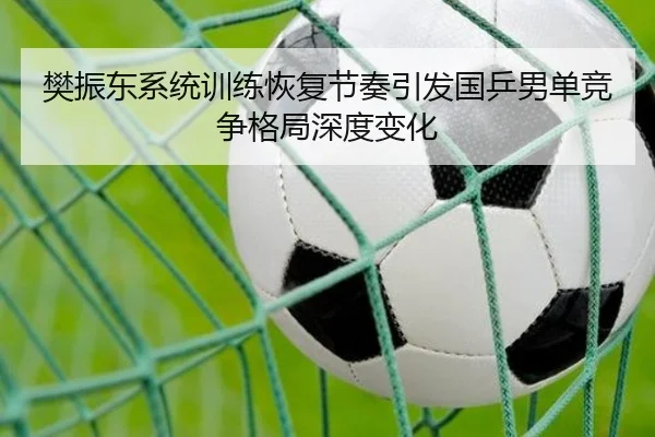 樊振东系统训练恢复节奏引发国乒男单竞争格局深度变化